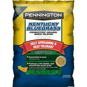 Expert Gardener Kentucky 31 Tall Fescue Grass Seed; 50 Pound Bag