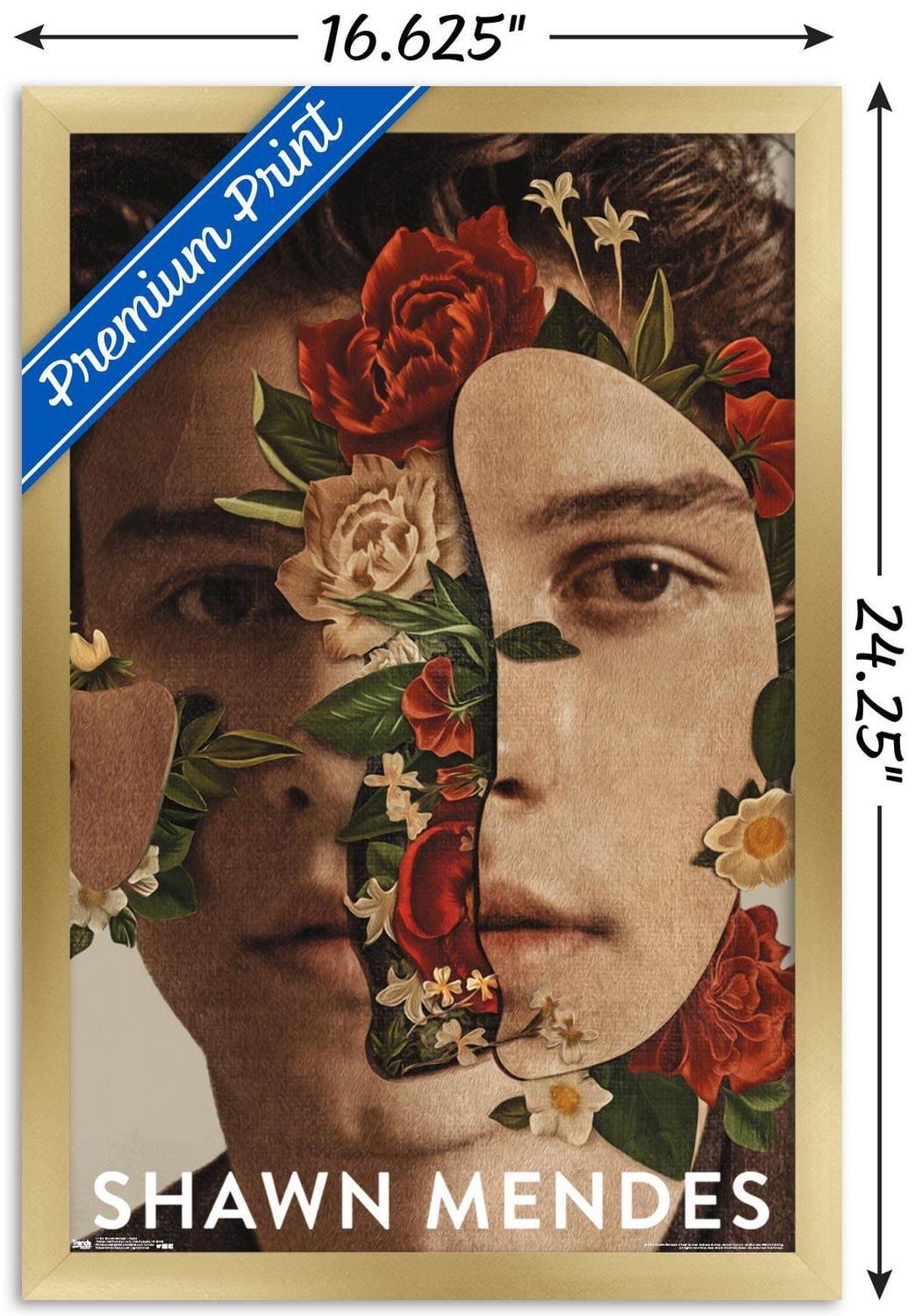 Shawn Mendes - Floral Wall Poster, 22.375" x 34"