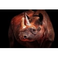 thumbnail image 2 of Wenner-Braun, Antje 32x23 Black Ornate Wood Framed with Double Matting Museum Art Print Titled - Rhino Posing, 2 of 4