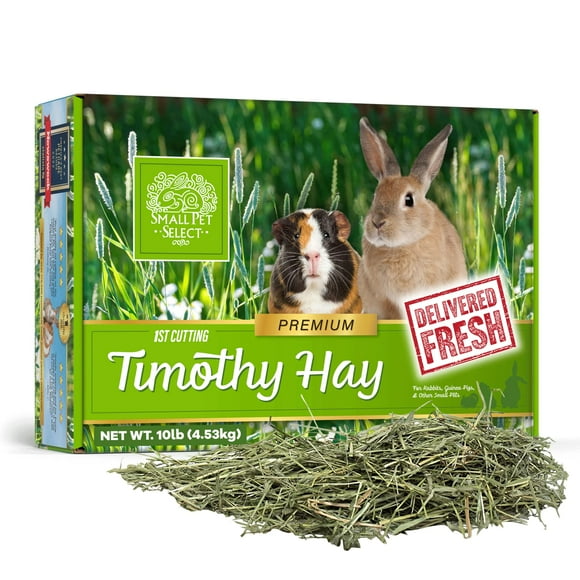 Small Pet Select 1ère Coupe Timothy Foin Nourriture pour Lapins, Cochons d'Inde et Autres Petits Animaux, Boîte Facile à Ranger, 10 LB