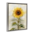 thumbnail image 3 of Stupell Industries Sunflower Summer Bloom Botanical & Floral Painting Gray Floater Framed Canvas Art Print Wall Art, 25 x 31, 3 of 9