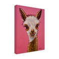 thumbnail image 2 of Hippie Hound Studios 'Alpaca Rosie' Canvas Art, 2 of 3