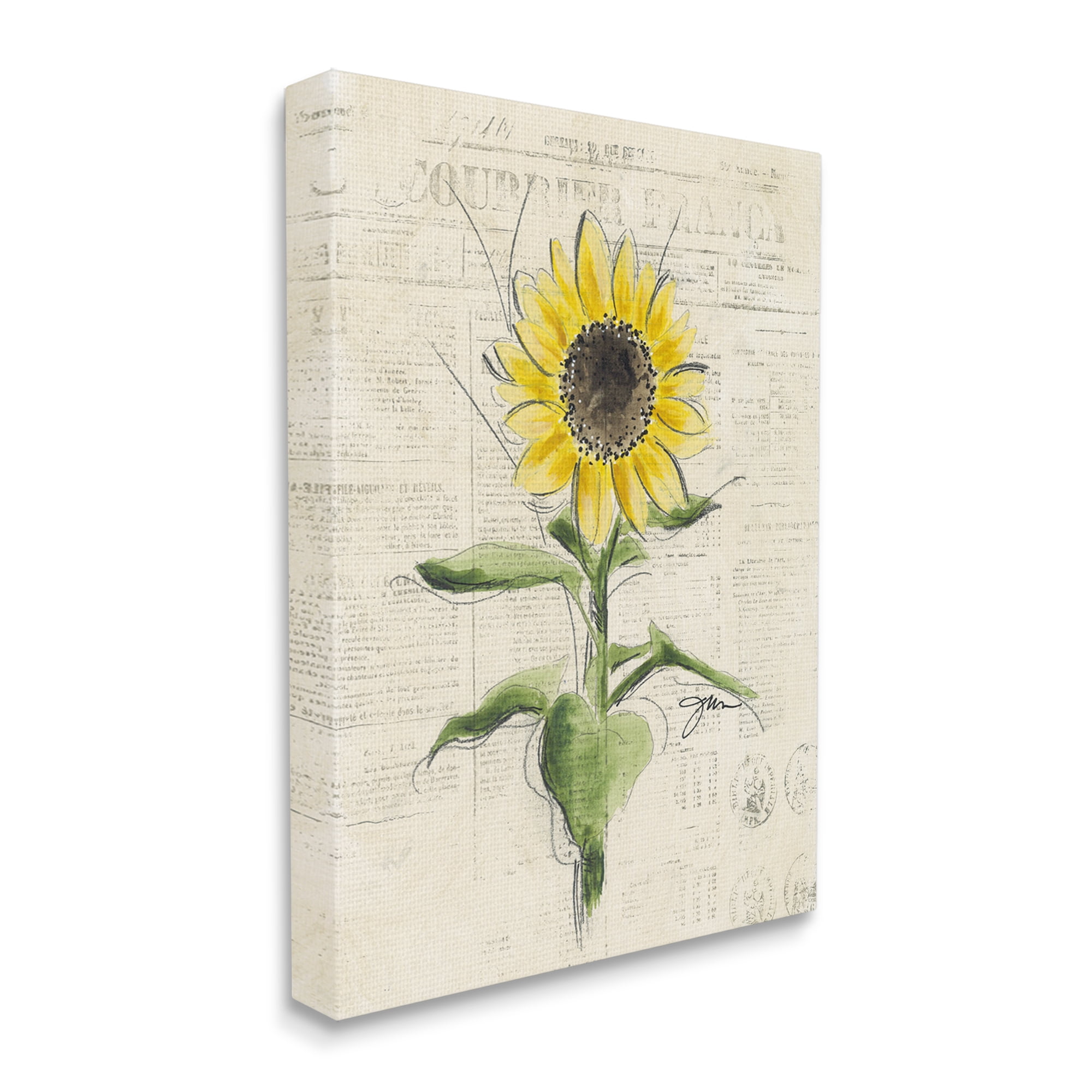 Stupell Industries Vintage Sunflower Painting Botanical & Floral Painting Gallery Wrapped Canvas Art Print Wall Art, 36 x 48