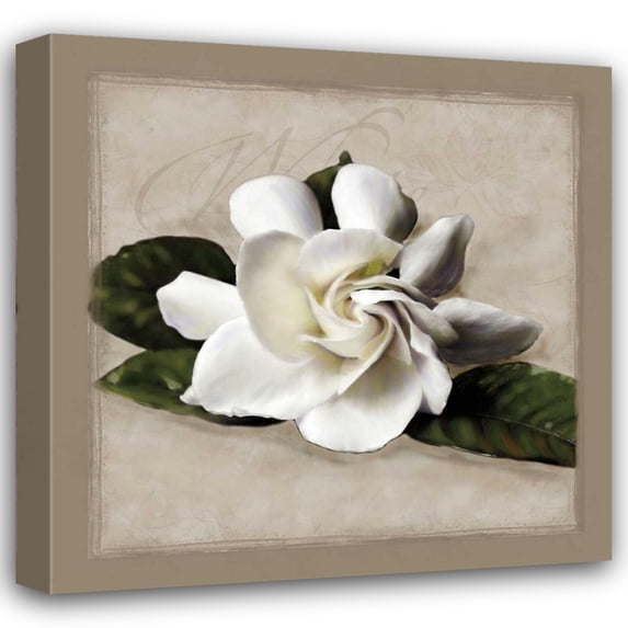 Janel Pahl 36x36 Gallery Wrapped Canvas Wall Art Titled - Botanical Gardenia