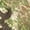 Obskura Transitional, variant on Kryptek Stalker Collection Pants - Men's, Obskura Transitional, L