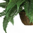 thumbnail image 4 of Nearly Natural 18" Boston Fern Artificial Plant in Hanging Basket, Green, 4 of 6