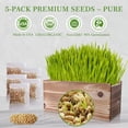 thumbnail image 5 of 5-Pack Cat Grass Kit for Indoor Cats with Wood Planter, Grow Organic Wheat Grass in 4-7 Days, Aids Digestion & Hairball Control, Ideal Birthday Gift for Cat Lovers, 5 of 6