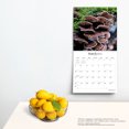 thumbnail image 4 of Magic Mushrooms 2024 Square Brush Dance (Calendar), 4 of 8