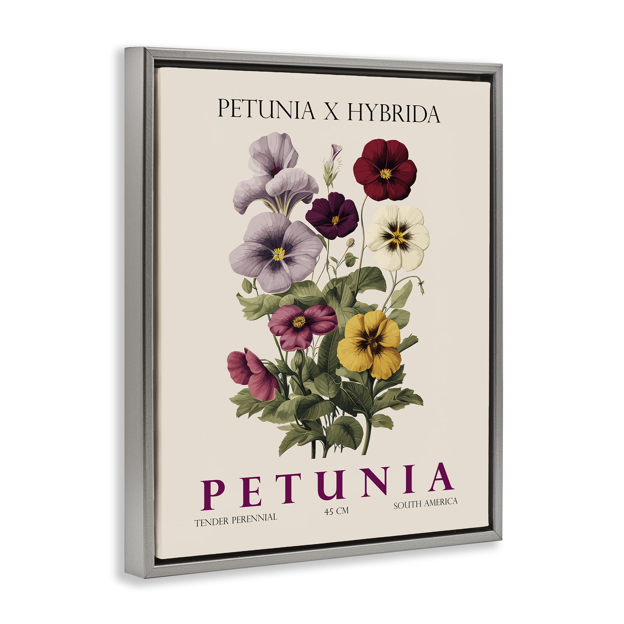 Stupell Industries Natural Petunia Bundle Gray Framed Floater Canvas Wall Art, design by Christopher Giampietro