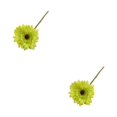 thumbnail image 4 of Decoración DIY Yuarrent No tóxico apariencia realista guirnalda de amplia aplicación, 4 of 6