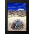 thumbnail image 2 of Taylor, Douglas 17x24 Black Modern Framed Museum Art Print Titled - Desert Grasslands II, 2 of 5
