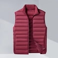 thumbnail image 4 of FRSASU Men's Lightweight Puffer Vest Outerwear Warm thermal Sleeveless Full Zip Up Stand Collar Puffy Jacket Wine, 4 of 6