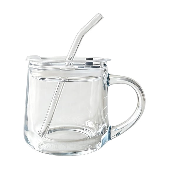 Anckoeil 11.8 fl oz Glass Water Cup with Handle, Lid & Glass Straw, for Home, Office & Daily Use