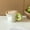 Green, variant on This donut-shaped mug features a donut-shaped handle and is perfect for home décor, everyday use, parties, afternoon tea, latte art, and as a gift.