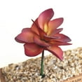 thumbnail image 6 of 1Pc Artificial Flower Succulent Plant DIY Garden Office Home Party Desk Decor, 6 of 7