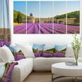 thumbnail image 1 of Abbey of Senanque Lavender Flowers, 1 of 3