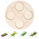 thumbnail image 1 of Tholdsy Simulación de crecimiento de animales de insectos, modelo de jardín de infancia, enseñanza educativa, aprendizaje, imaginación, Juguetes Educativos Tipo 5, 1 of 6