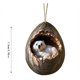 thumbnail image 4 of Adorno Navideño Con Animales Adorno Acrílico 2D Con Motivos Animales Para Árbol De Navidad Decoración Con Animales Para Temporada Navideña Para Árbol De Navidad Techo Recuerdo Navideño, 4 of 5