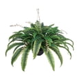 thumbnail image 7 of Artificial Boston Ferns Large 80 Branches, Indoor Outdoor Plants, Low Maintenance Fake Fern Decor, Lifelike Plastic Plants for Home Garden Porch, 7 of 7