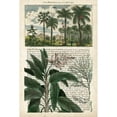 thumbnail image 3 of Vision Studio 13x18 Black Modern Framed Museum Art Print Titled - Journal of the Tropics I, 3 of 5