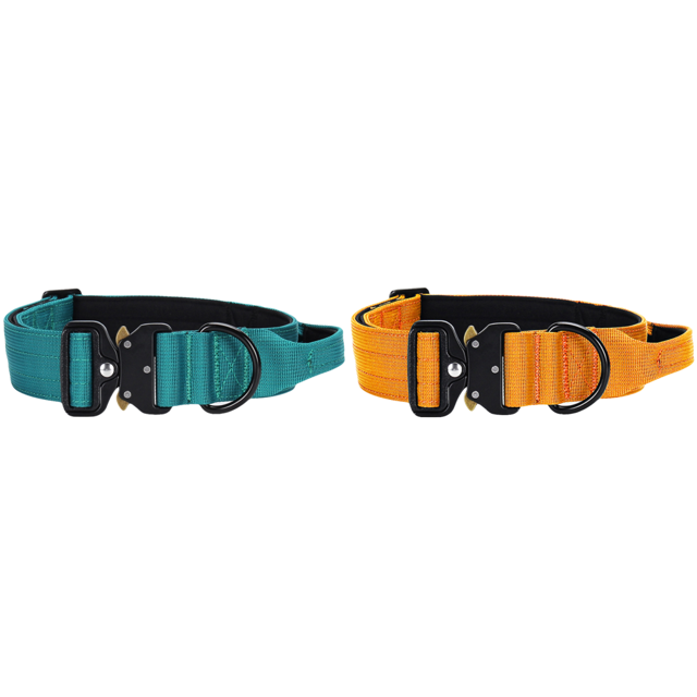 Collar para Entrenamiento Ajustable Adecuado Todas Las Razas (retro) Verde