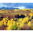 thumbnail image 2 of Talbot Frank, Christopher 17x15 Gold Ornate Wood Framed with Double Matting Museum Art Print Titled - Colorado, Rocky Mountains, Autumn in the Rockies, 2 of 4