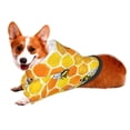 thumbnail image 2 of Bingfone Honeycombs Dog Clothes Hoodie, Pet Winter Coat,Puppy Sweatshirts For Small Dogs Boy Girl,Suitable For All Breeds-X-Large, 2 of 9