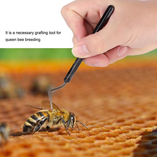 Pin De De Apicultura, Herramienta De Injerto De Apicultura Duradera, Herramienta De Injerto De Apicultura Para Queen