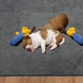 thumbnail image 5 of La almohadilla absorbente puede reutilizar la almohadilla para mascotas 70 * 100 cm Zefei Wu 9024735017226, 5 of 5