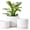 White, variant on BUYMAX Plant Pots, 4+5+6 Inch Pots for Indoor Plants,Ceramic Planter Pot with Drainage Hole,Flower Pots for Succulent Cactus,Set of 3 - Rainbow Pearl Glaze