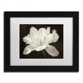 thumbnail image 2 of Trademark Fine Art 'White Tulip I' Canvas Art by Cora Niele, White Matte, Wood Frame, 2 of 4