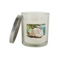 Home Traditions Single Wick Evenly Burning Highly Scented Jar Candle