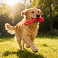 thumbnail image 5 of BotaniNest Chew Indestructible Rubber Toothbrush Chew For Aggressive Chewers Tough Teeth Cleaning Stick For Small Medium And Large Chew For Aggressive Chewers Rubber Teething For Puppies, 5 of 5