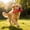 Red - 13CM, variant on Dog Chew Stick 5.1" Wear Resistant Play Bite Toy Flexible Entertainment Accessory for Small Medium Large Dog Puppy Red