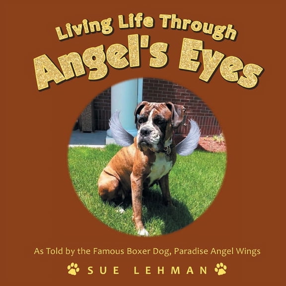 Living Life Through Angel's Eyes, (Paperback)