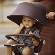 Evolur Velo Rider Stroller, Caviar