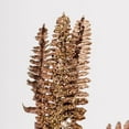 thumbnail image 2 of Vickerman 20" Chocolate Fern Flower Artificial Christmas Spray. Includes 3 sprays per pack., 2 of 2