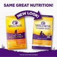 thumbnail image 2 of Wellness Complete Health Grain Free Chicken & Salmon Recipe Dry Puppy Food 22 LBS, 2 of 2