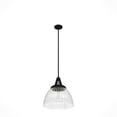 thumbnail image 5 of Hunter - Cypress Grove 1-light Natural Black Iron, Medium Size Pendant Light, Dimmable, Transitional Style, Dome Shaped, for Bedrooms, Dining, Living Rooms - 19251, 5 of 8