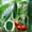 0.9*1.8M, variant on Plant Climbing Net, 0.9×2.7m Garden Trellis Netting with 4-Inch Mesh, Heavy-Duty Green Net for Climbing Vegetables, Vines, Flowers and Fruits,B