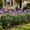 Black, variant on Cmunyle 10 PC Black Decorative Garden Fence Panels 15.75 x 9.84 inch with Ground Stakes and 1.73 inch Grid for Flower Beds and Pet Barriers