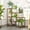 7 Pots-Ladder, variant on Plant Stand with Wheels Outdoor Indoor Hanging Plant Shelf for Multiple Plants Tall Large Holder for Living Room Patio Balcony Garden Corner Mobile