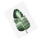 thumbnail image 1 of Pintura BlesiyaTropical Para La Decoración s Ilustraciones Gloria Pintura al óleo decorativa, 1 of 9