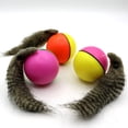thumbnail image 5 of Jouet Interactif pour Chiot Balle Roulante en Mouvement, Chien Chat Castor Belette Saut, 5 of 5