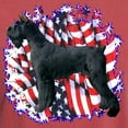 thumbnail image 3 of CafePress - Giantschnauzerpatriot Men's Comfort Colors® T Shirt - Mens Comfort Colors Shirt, 3 of 5