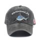 thumbnail image 1 of Gorra de béisbol de algodón lavado para hombre y mujer, gorro con bordado, combina con todo, Estilo Vintage, para viaje al aire libre, 1 of 4
