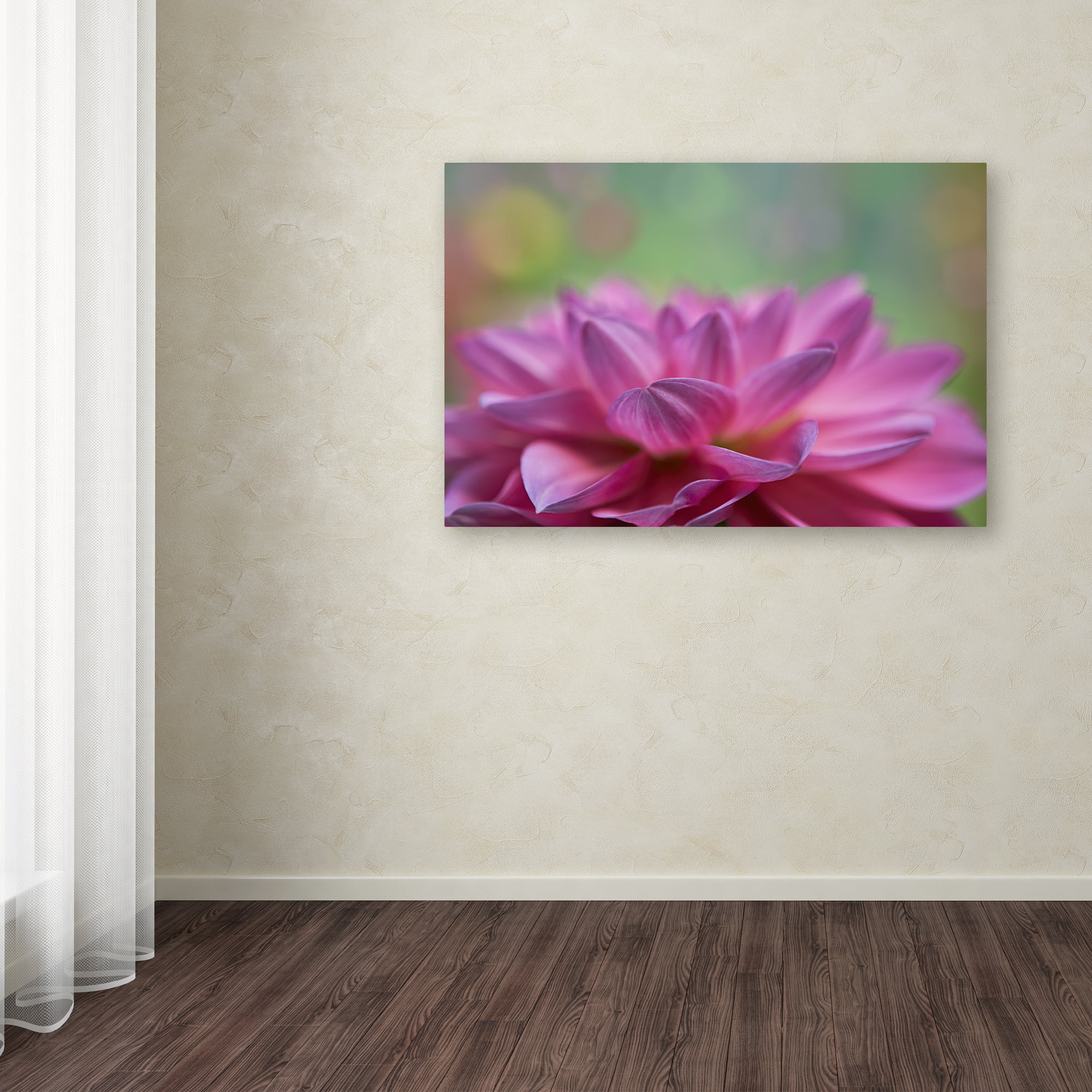 Trademark Fine Art 'Dahlia Petals' Canvas Art by Cora Niele