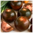 thumbnail image 1 of Everwilde Farms - 1/4 lb Black Prince Heirloom Tomato Seeds - Gold Vault Bulk Seed Packet, 1 of 3