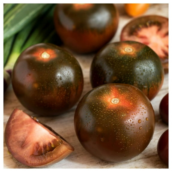 Everwilde Farms - 1/4 lb Black Prince Heirloom Tomato Seeds - Gold Vault Bulk Seed Packet