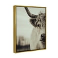 thumbnail image 4 of Stupell Industries Highland Cow Face Portrait Animals & Insects Photography Gold Floater Framed Canvas Art Print Wall Art, 25 x 31, 4 of 10